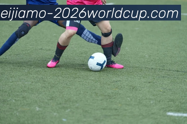 美加墨世界杯APP 封面图